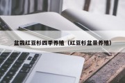 盆栽红豆杉四季养殖（红豆杉盆景养殖）